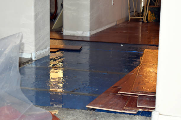 Professional Water Damage Restoration technician working in Washington, NH